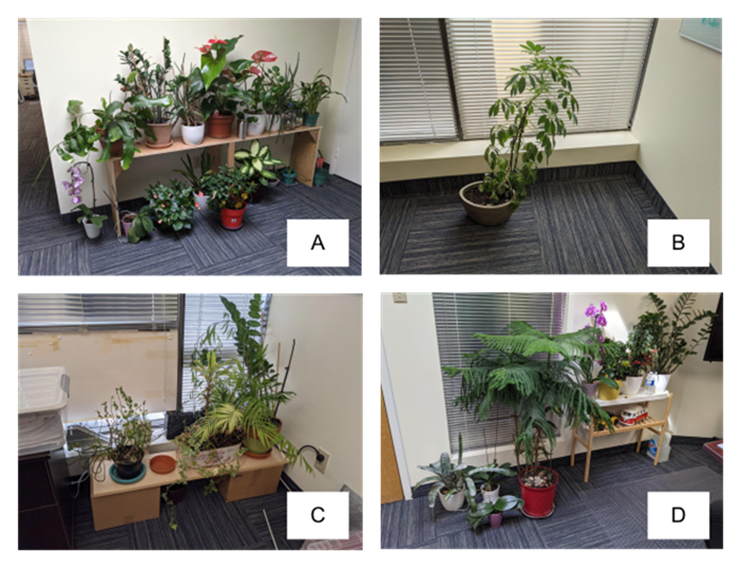 ./images/Plants.png